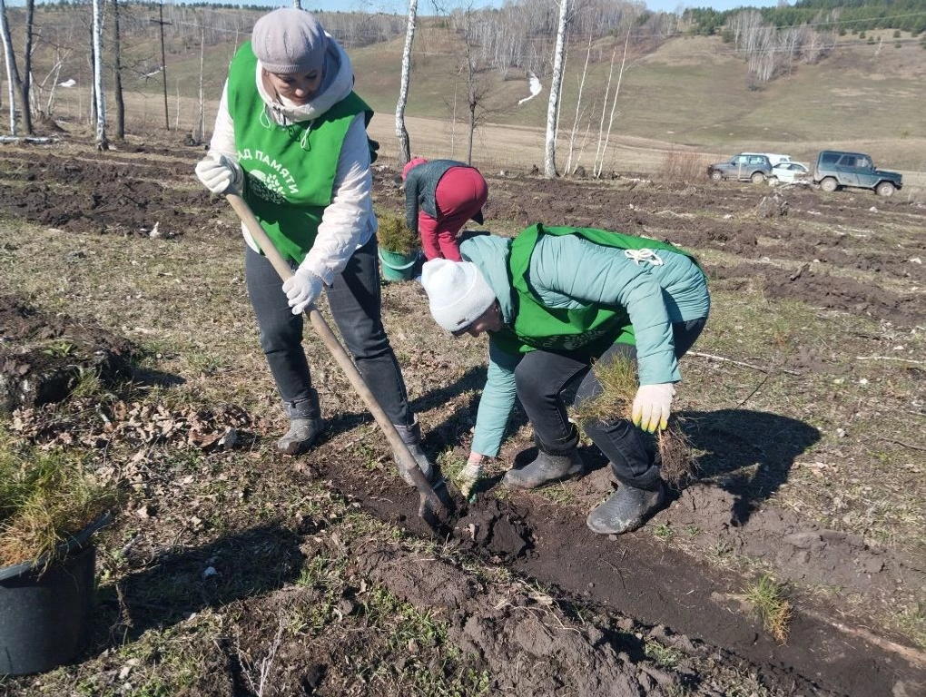 Решая экологические вопросы, сохраняем историческую память