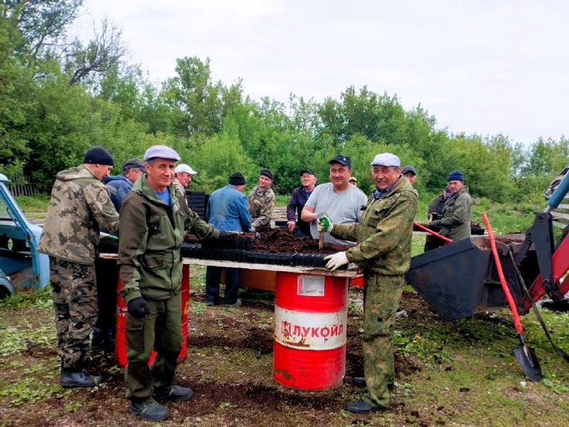 В Башкортостане продолжается посевная кампания в лесхозах!
