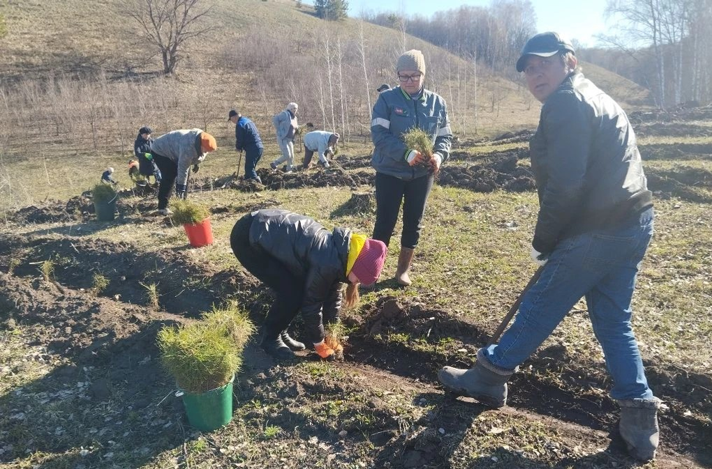 Решая экологические вопросы, сохраняем историческую память