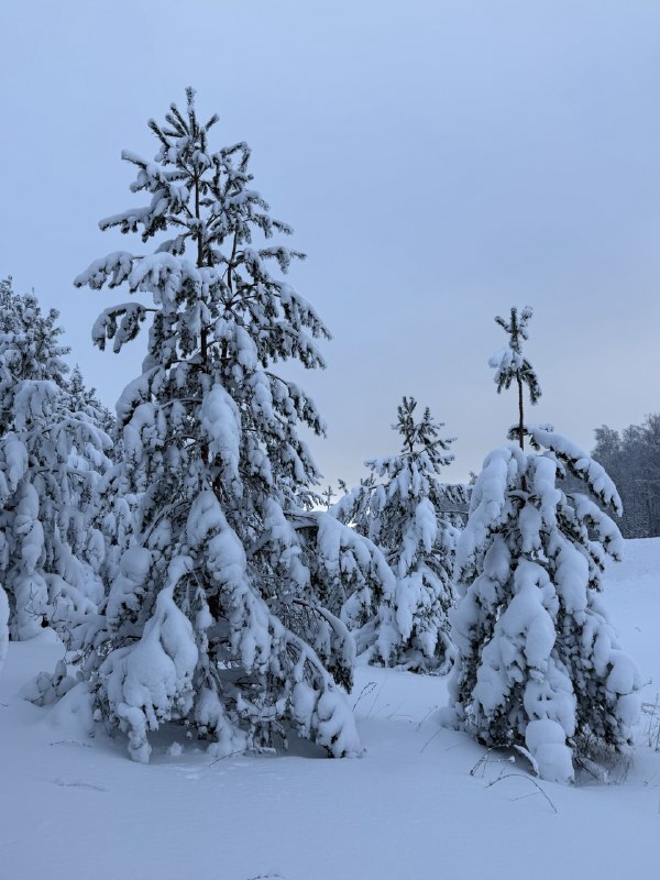 В оставшиеся дни новогодних каникул в Башкирии ожидается снежная погода.
