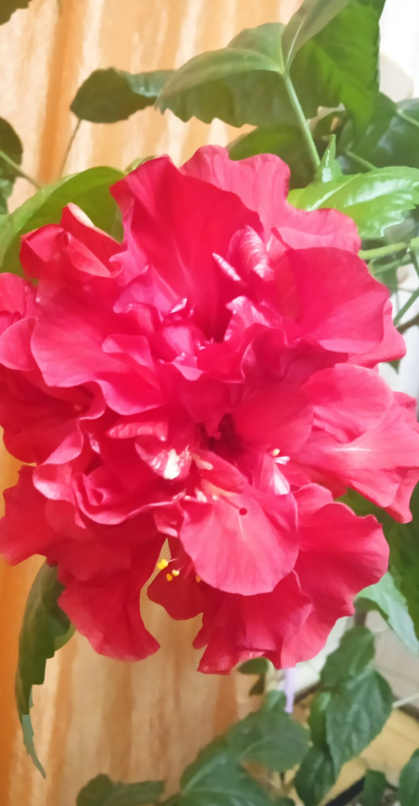 Гороскоп для всех знаков Зодиака