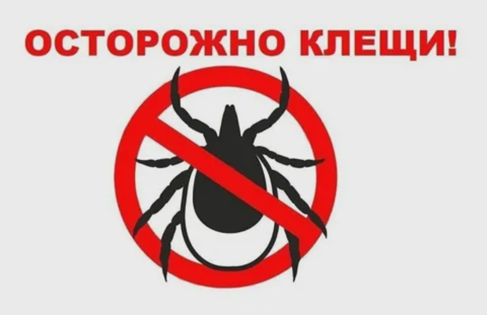 Роспотребнадзор определил опасные по клещевому энцефалиту районы Башкирии