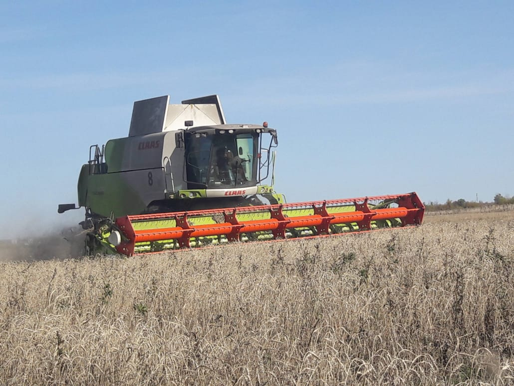 Башкирия получит дополнительную поддержку для подготовки специалистов АПК