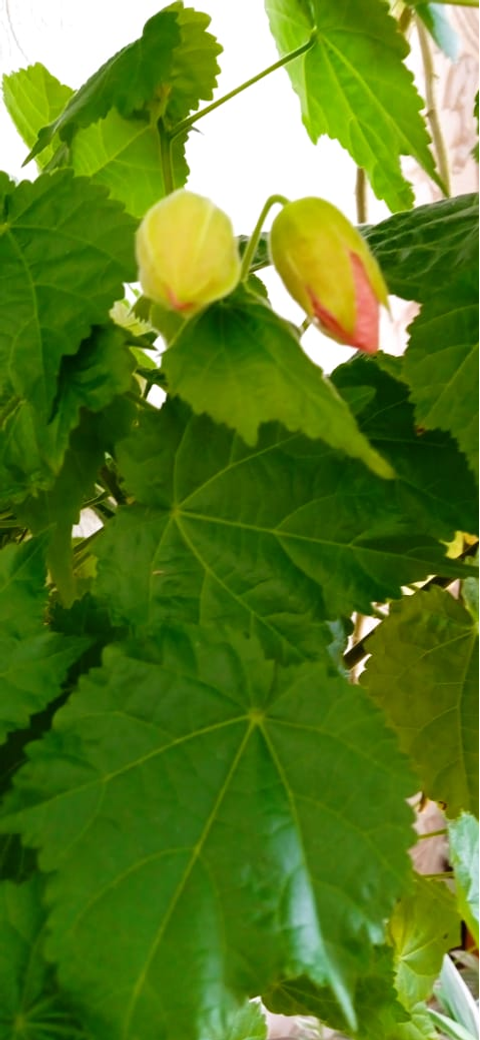 Гороскоп для всех знаков Зодиака