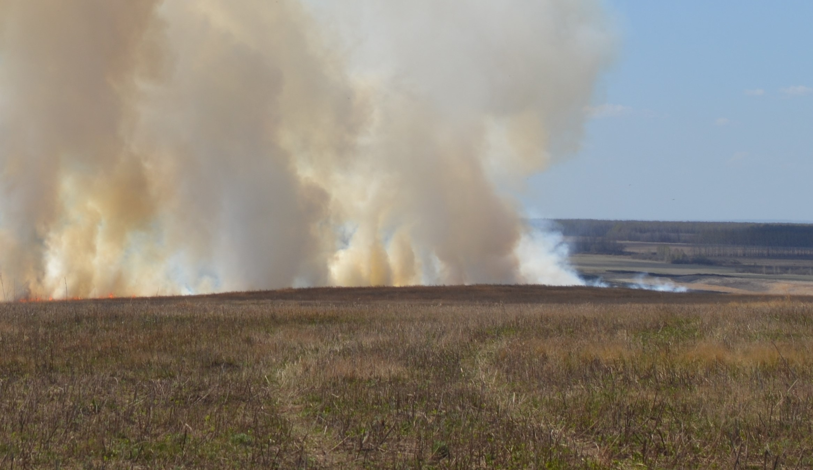 Противопожарная минерализованная полоса.