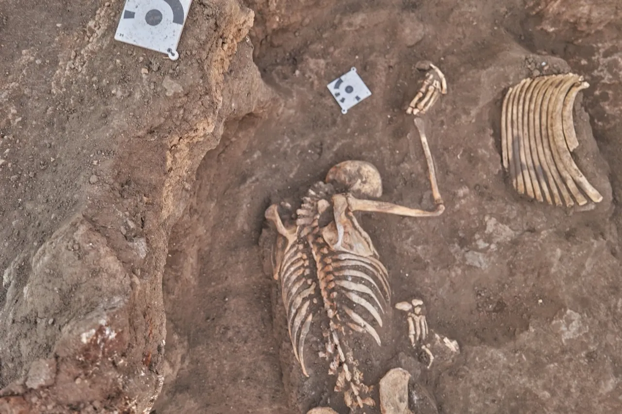 Фестиваль «Башкорт аты»: башкирская лошадь – от современности до глубины веков