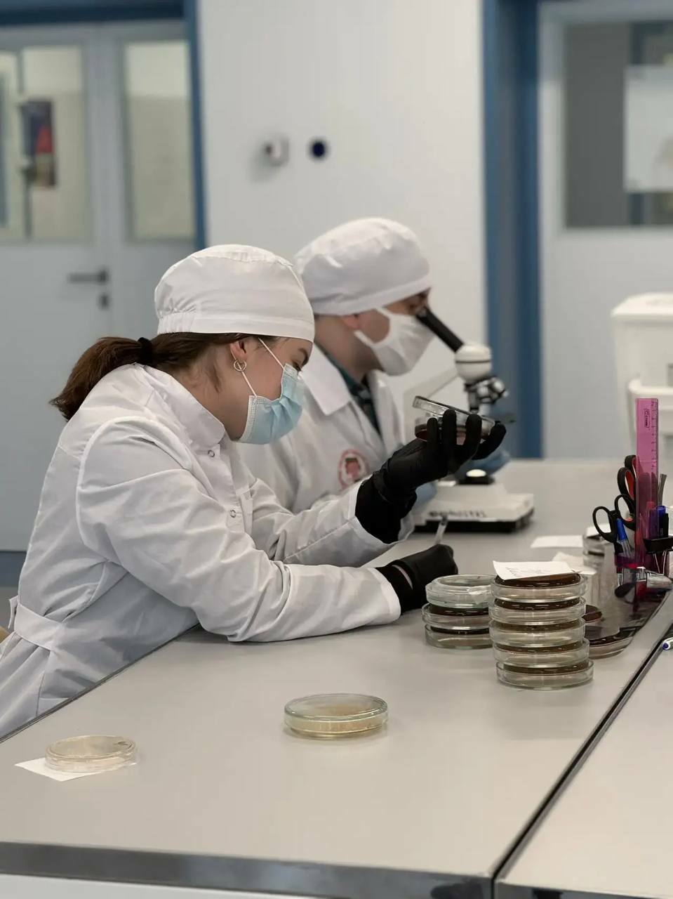 В кампусе разработали тест на «бактерию стройности»