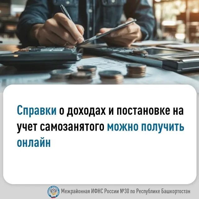 Справки о доходах и самозанятости теперь доступны онлайн