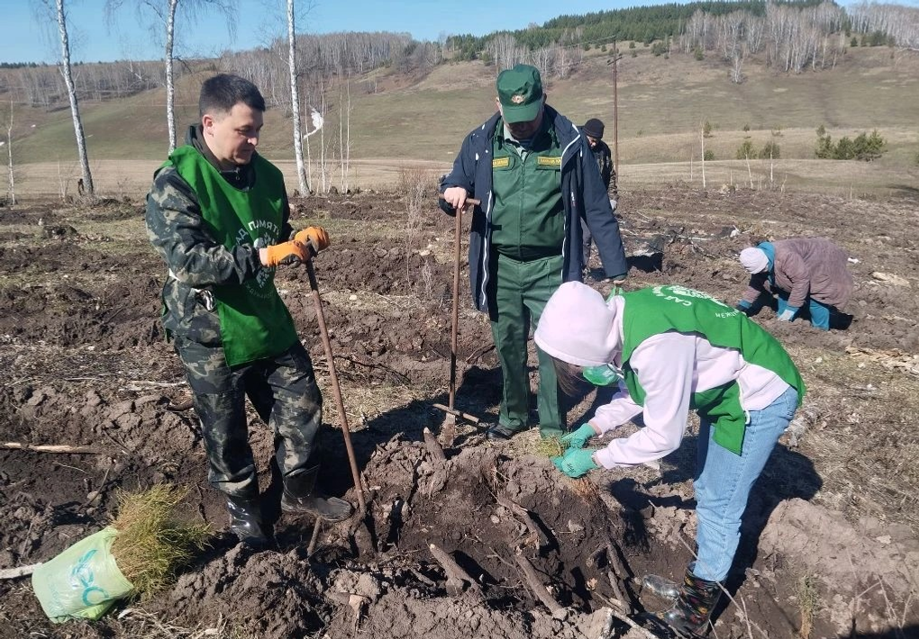 Решая экологические вопросы, сохраняем историческую память