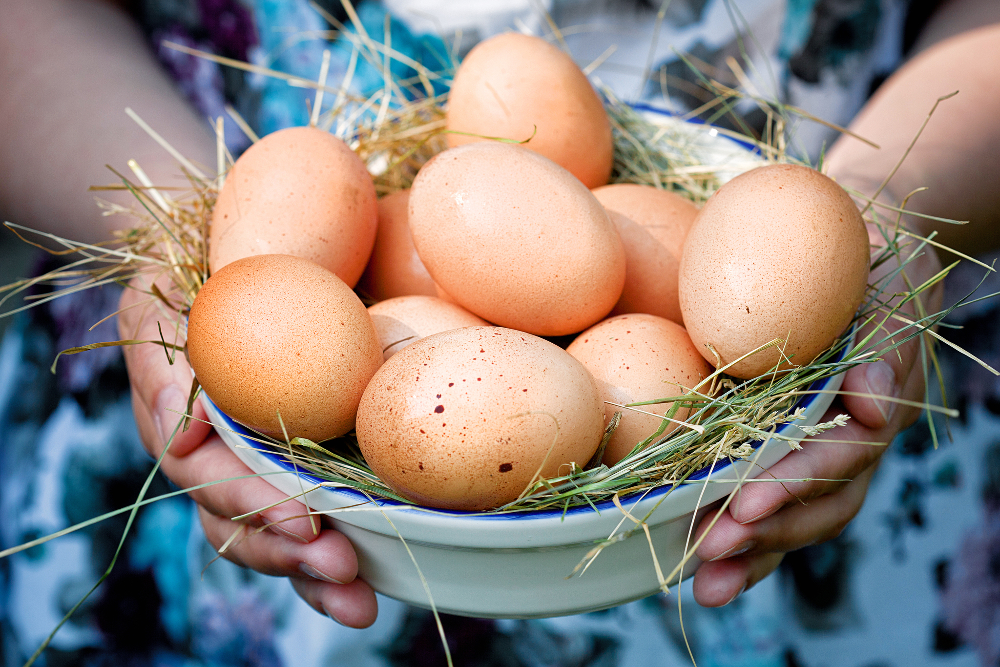 Мошенники поживились на объявлении о продаже домашних яиц