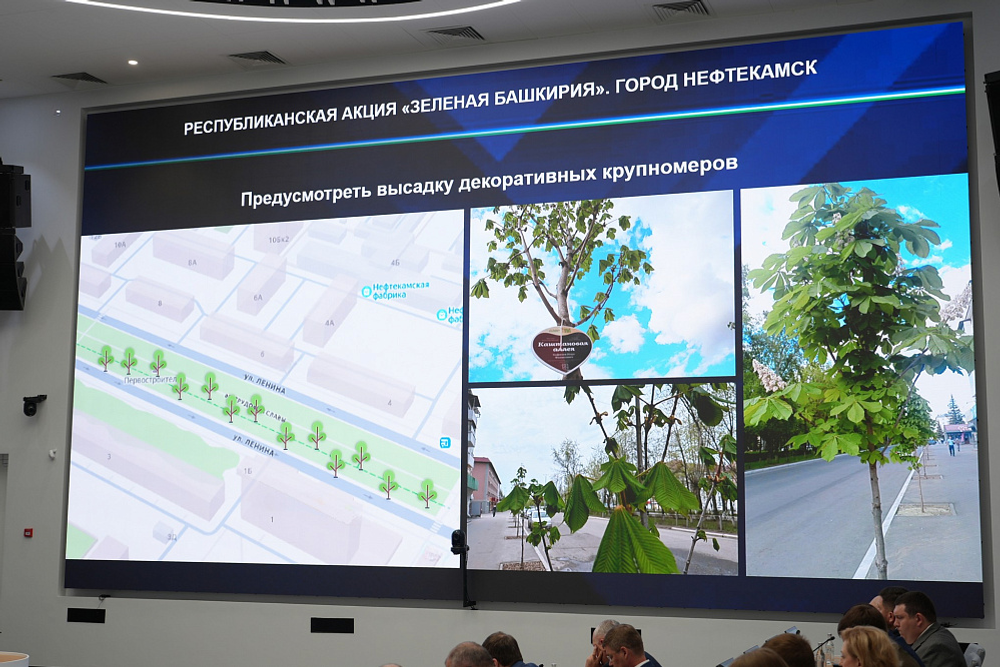 Во время акции «Зелёная Башкирия» высадят 4,5 тыс.деревьев и 62 тыс. кустарников