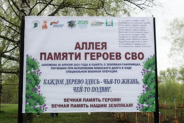 В Гафурийском районе заложили «Аллею памяти героев СВО
