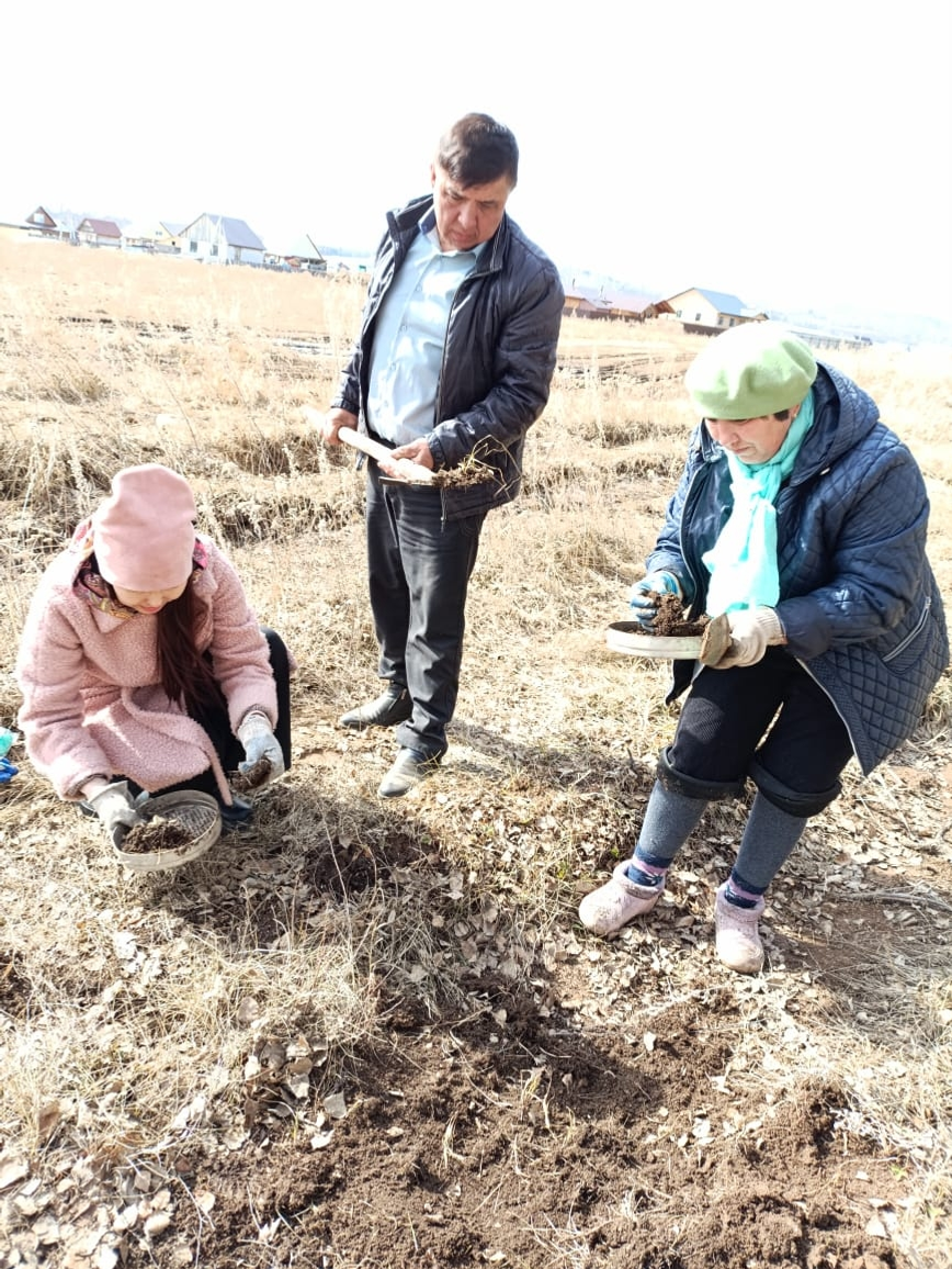 В Башкирии завершены обследования зимующего запаса саранчовых вредителей