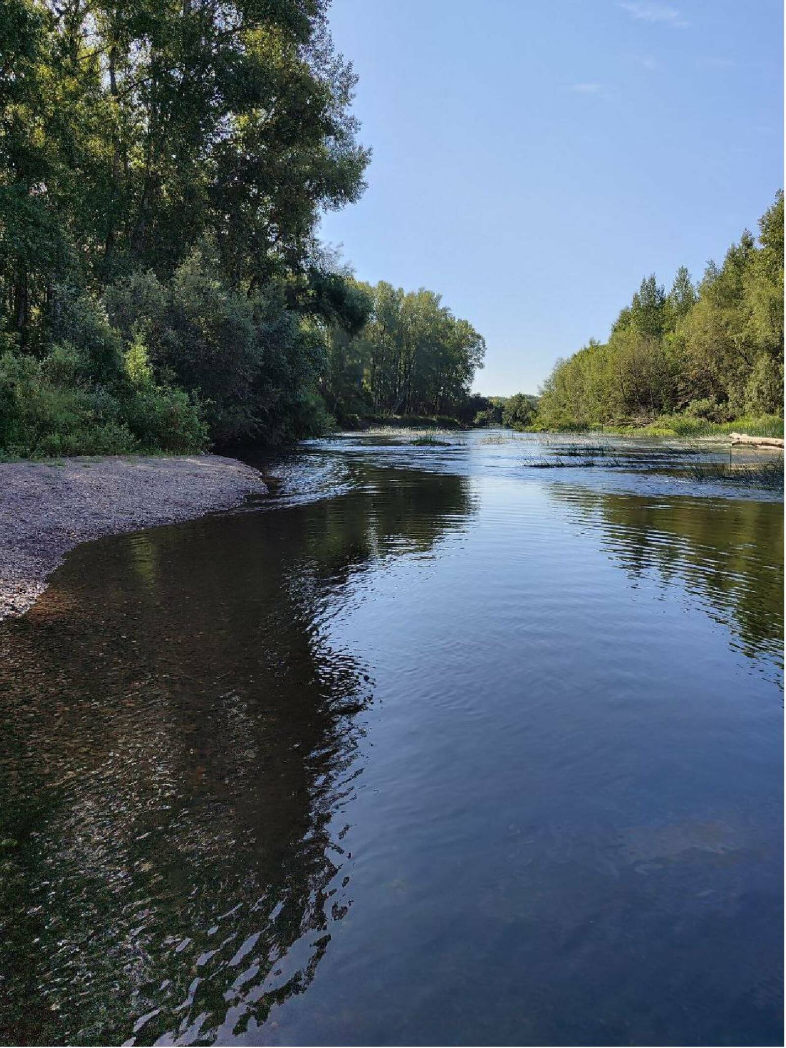 Поэзия родной земли
