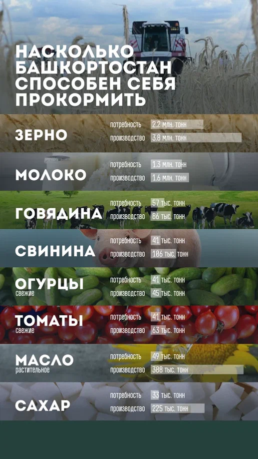 В Башкирии увеличилось производство продукции АПК